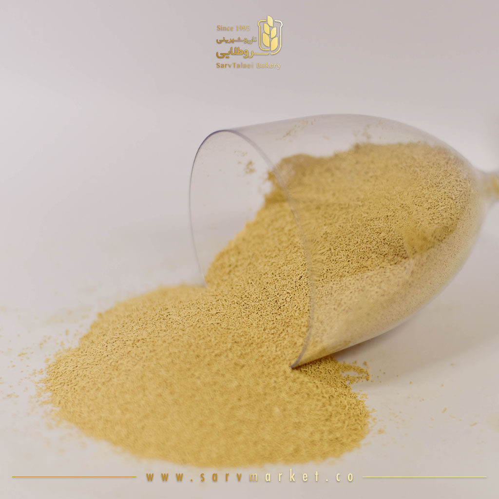 خمیرمایه خشک